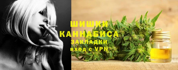 гашик Пестово