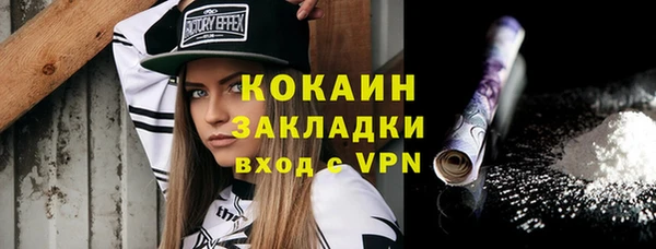 гашик Пестово