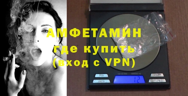 гашик Пестово