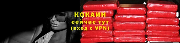 гашик Пестово