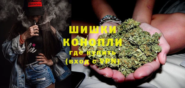 гашик Пестово