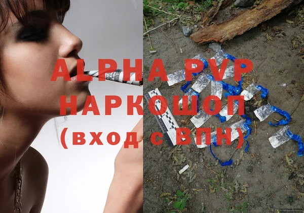 гашик Пестово