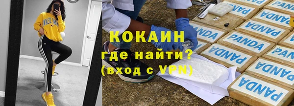 гашик Пестово