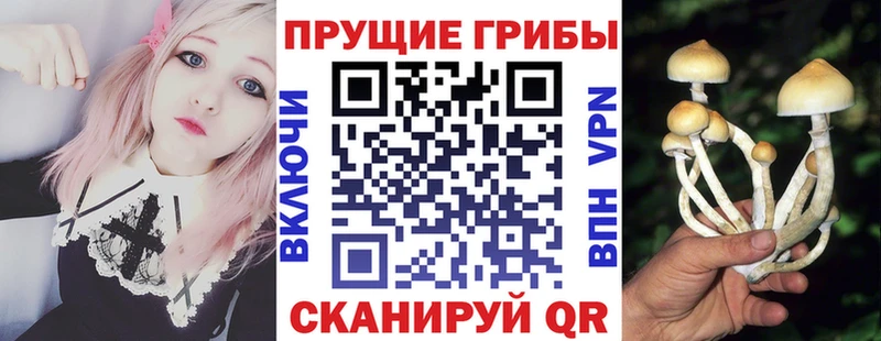 где найти наркотики Арамиль Галлюциногенные грибы ЛСД